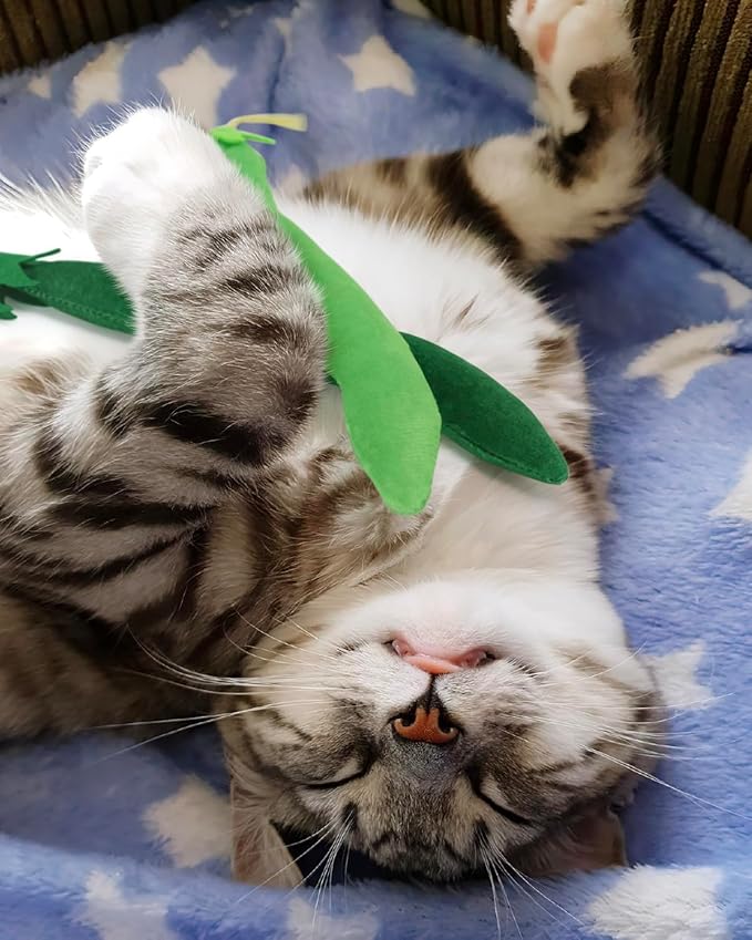 CiyvoLyeen Catnip Toy, Green Bean Cat Toys Kitten Supplies Interactive Kicker Vegetables Vegan Dental Health Teething Chew Gift for Cat Lovers Indoor 4PCS