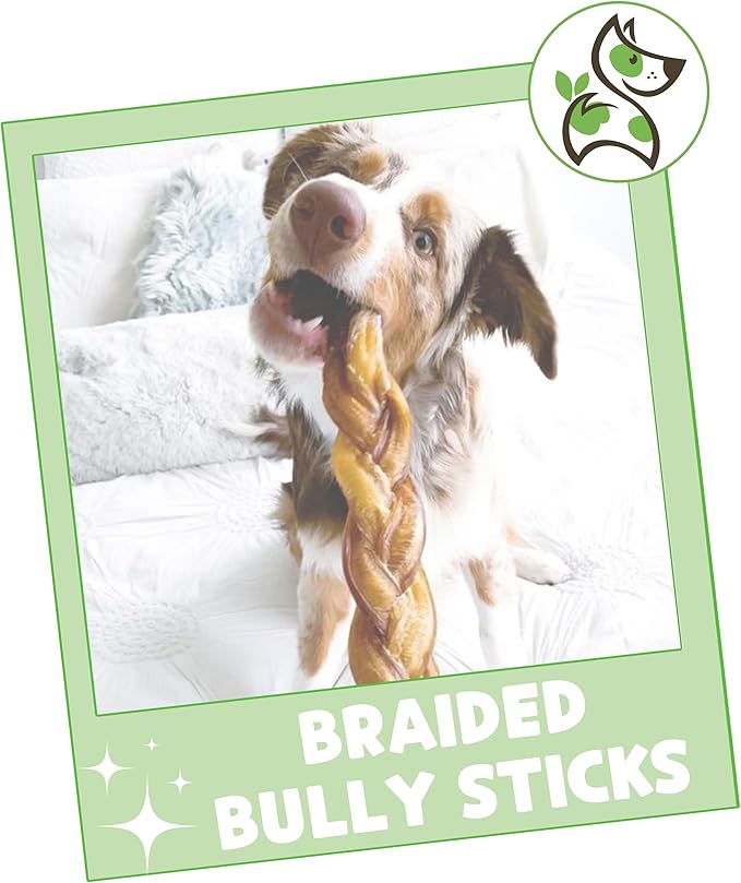 Nature Gnaws Braided Bully Sticks for Dogs 11-12" (5 Count) - Long Lasting for Aggressive Chewers and Large Dogs - Natural Beef Dog Chew Bones