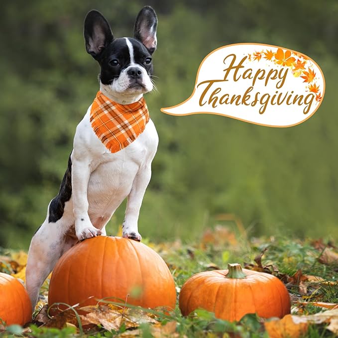 Kytely Fall Dog Bandana 2 Pack, Halloween Thanksgiving Dog Bandanas, Orange Plaid Pet Scarf for Boy and Girl, Holiday Bandana Reversible Triangle Bibs Accessories for Dogs Pets Small