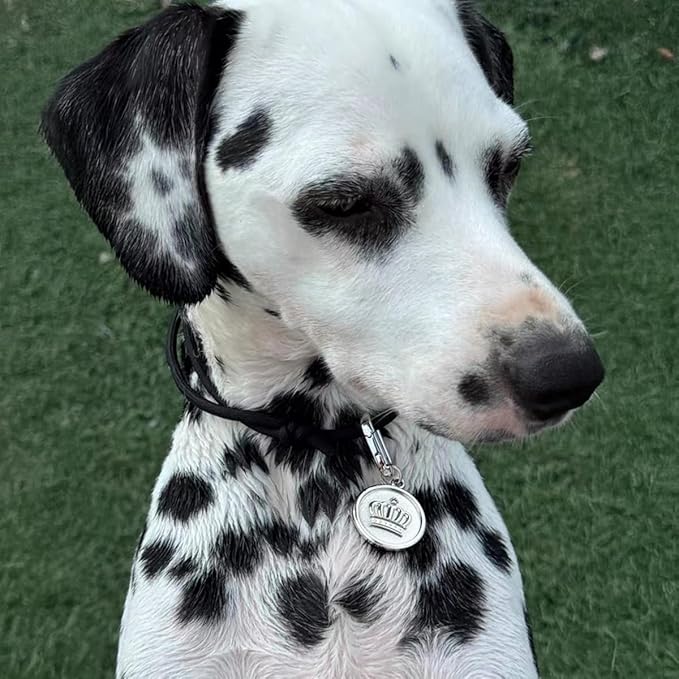 Dogs ID Tags Personalized Double Sided Deep Engraved Cat & Dog Collar Charm Round Shape Frosting Process Silver/Gold Plated (Bone-Cross Gold)