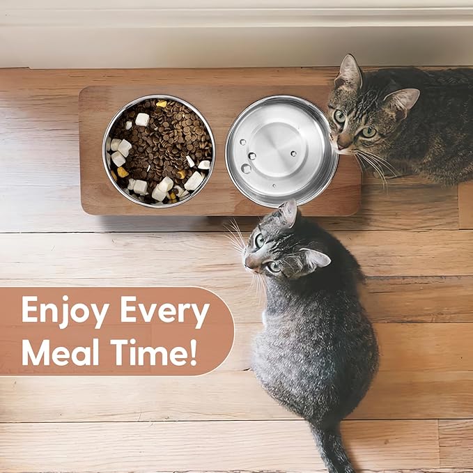 Elevated Cat Bowls, 15° Tilted Raised Cat Food Bowls Wood Pet with Stand Anti Vomiting 2 Stainless Steel for Cats and Puppy