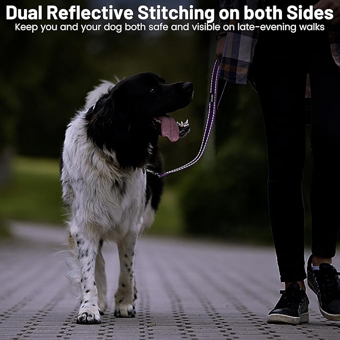 ZALER Short Dog Leash 2 ft, 24 Inches Traffic Leashes for Dogs, Nylon Reflective Dog Lead with Padded Handle, Heavy Duty Pet Leash with Carabiner Clip for Large and Medium Dogs (24" Purple)