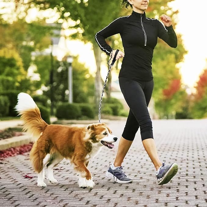 Heavy Duty Metal Dog Chain Leash with Comfortable PU Leather Padded Handle, Chew Proof for Medium Large Pooch Walking Training (6ft 3.0mm Black)