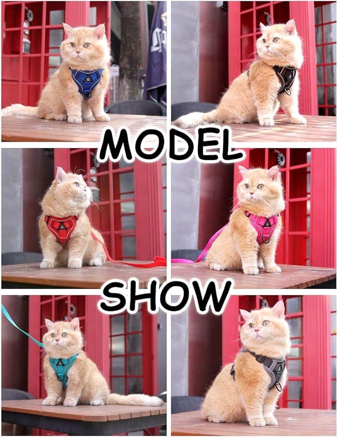 Cat Harness and Leash Set, Upgraded Escape Proof Adjustable Vest with Lead for Large Cat Small Dog Puppy Outdoor Walking, Soft Breathable Mesh Jacket with Reflective Strips for Dark Night L Green