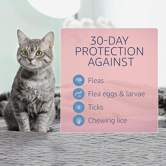 Catego for Cats Flea and Tick Treatment & Prevention (Over 1.5 lbs) 12-Month Supply