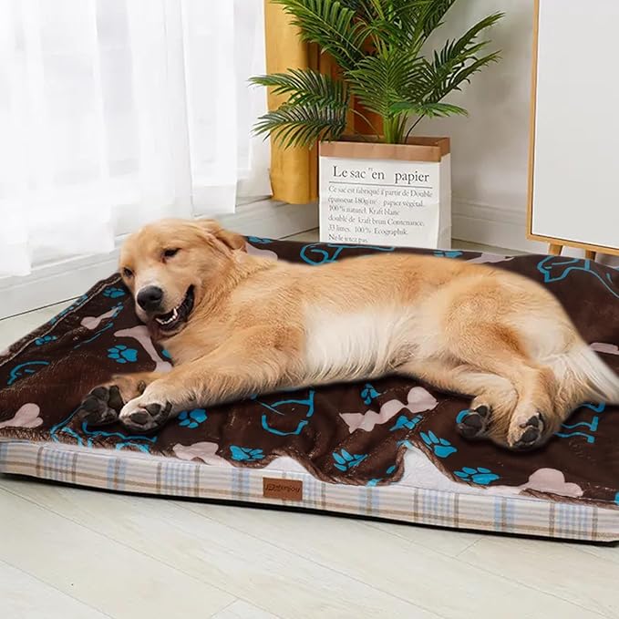 Dog Blanket for Small Dogs Washable-Soft Fluffy Puppy Blanket with Premium 300GSM Coral Fleece,Cozy Calming Cat Blankets for Indoor Cats for Kitten Doggy,Coffee,43x30IN