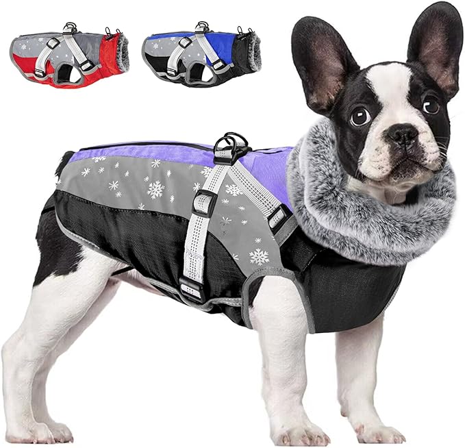 SlowTon Dog Jacket with Harness Built in - Waterproof Fleece Winter Warm Dog Coats for Small Medium Dogs, Reflective Adjustable Furry Puppy Vest Clothes for Outdoor Walking (Purple & Grey, M)