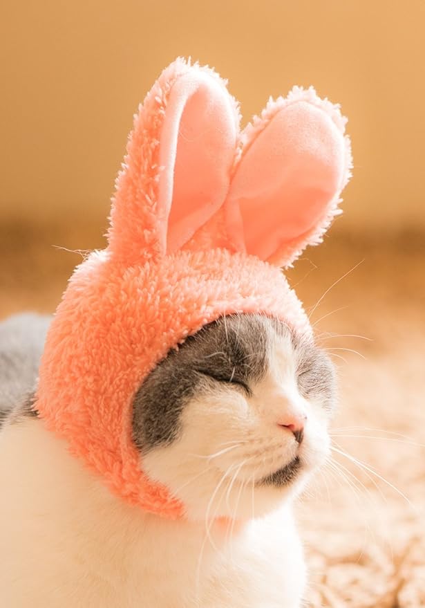 Kitan Club Cat Cap - Pet Hat Blind Box Includes 1 of 5 Cute Styles - Soft, Comfortable - Authentic Japanese Kawaii Design - Animal-Safe Materials, Premium Quality (Rabbit)