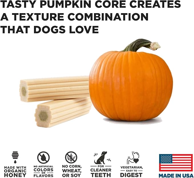 XL Pumpkin Dental Treats for Dogs - 18.3 oz Ñ Healthy, Vegetarian, Natural Pumpkin and Honey, Vegetarian Dog Chews, Made in The USA (Chew Sticks, Large Breeds)-Clean Teeth and Freshens Breath