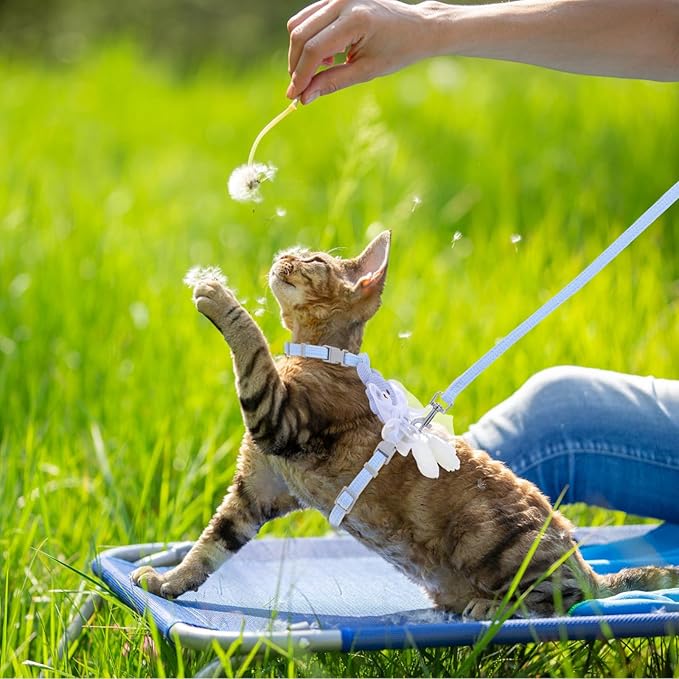 TIESOME Cat Harness and Leash Set, Adjustable Gradient Kitten Harness Escape Proof Harness with Leash for Kitty Outdoor Walking (Ribbon Bear Blue)