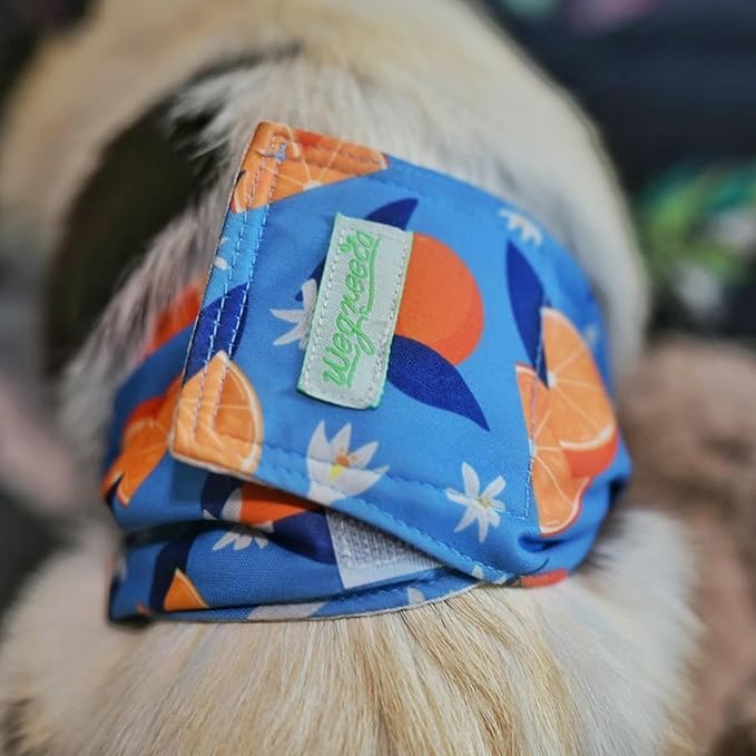wegreeco Washable Male Dog Belly Band (Stylish Pattern)- Pack of 3 - Washable Male Dog Belly Wrap, Dog Diapers Male (Fruit, Large)