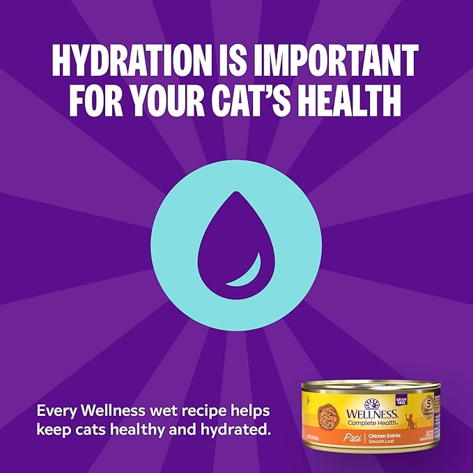 Wellness Complete Health Cubed Adult Wet Cat Food, Natural, Protein-Rich, Grain Free, 5.5 Ounce, 24 Pack, (Turkey Entrée)