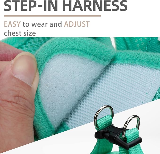 PUPTECK Adjustable Dog Harness Collar and Leash Set Step in No Pull Pet Harness for Small Medium Dogs Puppy and Cats Outdoor Walking Running, Soft Mesh Padded Reflective Vest Harnesses, Solid Green XS