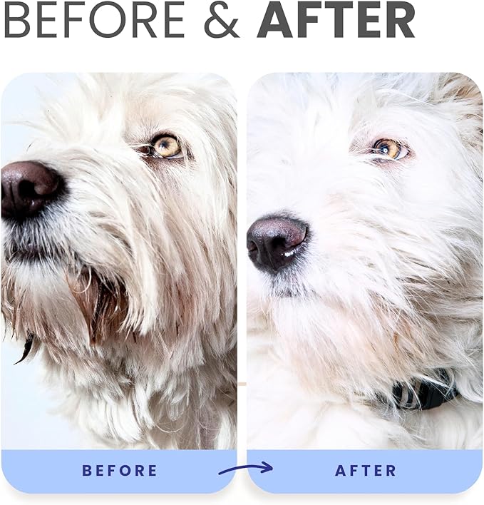 Lillian Ruff PRO Formula Berry Blue Brightening Dog Conditioner - Professional Whitening Conditioner Hydrate Dry Skin, Soften, Detangle, Restore Shine - Provitamin B5, USA Made 16oz