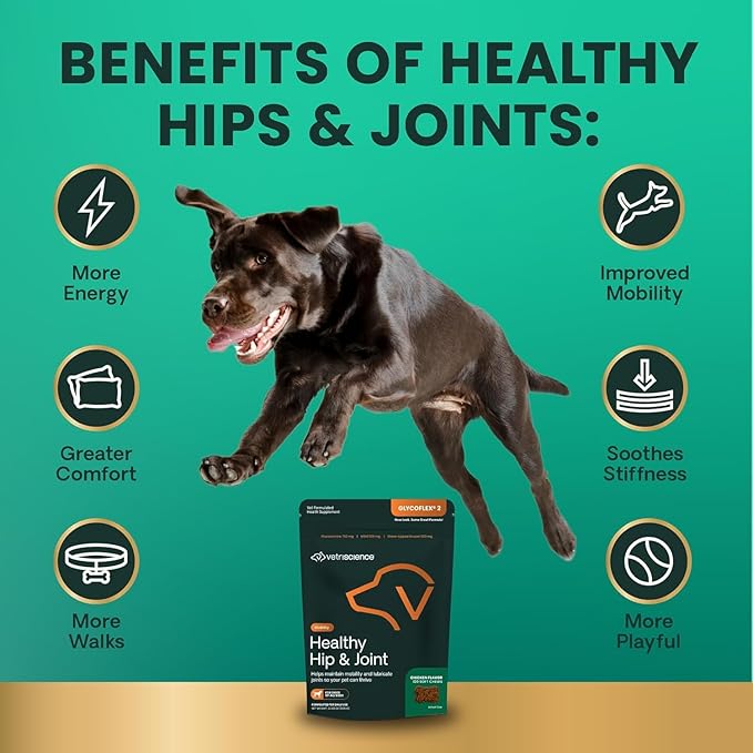 VetriScience Healthy Hip & Joint, GlycoFlex 2 for Dogs – Vet Formulated Glucosamine, MSM & Green-Lipped Mussel Soft Chew to Support Mobility, Flexibility & Joint Health, Chicken Flavor Chew, 120 Cnt
