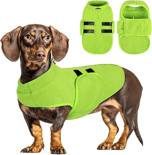 Queenmore XXS Soft Fleece Vest Pullover Dog Jacket with Leash Hole, Warm Winter Clothes for Small Dogs & Cats, Boy or Girl (Green, XXS)