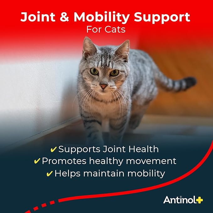 Antinol Plus, Mobility, Hip, and Joint Supplement for Cats, Green-Lipped Mussels and Krill Oil - Cat Joint Supplement, 60 Soft Gels