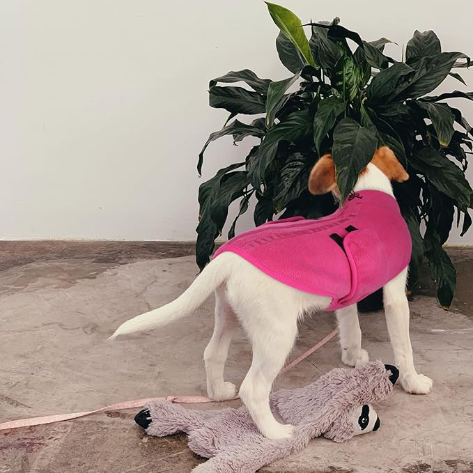 Queenmore Soft Fleece XXL Dog Sweater, Warm Winter Jacket with Leash Hole, Dachshund Cats & Doggy to Boy or Girl, (Pink, XXL)