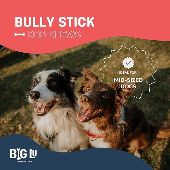 Big Lu - 6” Regular Bully Sticks, 12 Count, 100% Grass-Fed Beef Chews, Fully Digestible, Long-Lasting Treats for Aggressive Chewers, Natural Single-Ingredient Chews for All Dog Breeds