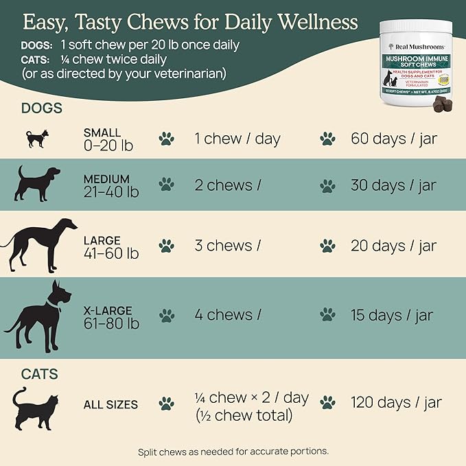 Real Mushroom Immune Pet Chews – For Daily Digestive & Immune Health – Mushrooms for Dogs & Cats Functional Treat – Mushroom Supplement for Dogs & Cats – 1 to 4 Chews For All Breeds & Sizes (60 Count)