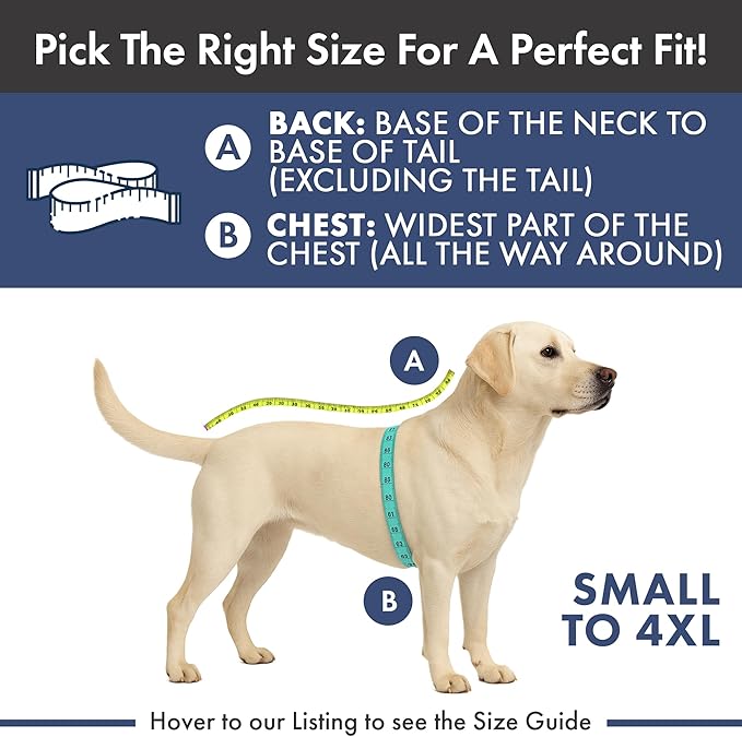 Spark Paws Dog Winter Jacket, Water-Resistant Coat, Warm Reflective Windproof Fleece-Interior, for Medium and Large Dogs - Red - 2XL