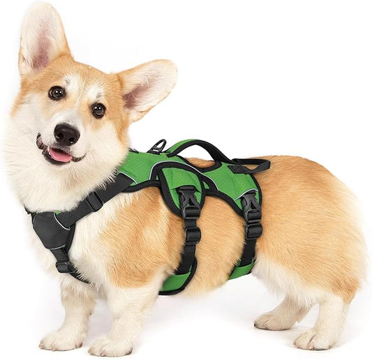 rabbitgoo Escape Proof Dog Harness, Soft Padded Full Body Pet Harness, Reflective Adjustable No Pull Vest with Lift Handle and Lesh Clip for Large Dogs Walking Hiking Training, S, Green