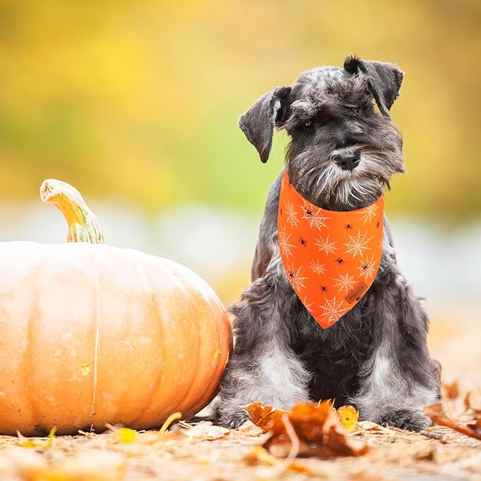 PTDECOR Halloween Dog Bandana, Reversible Holiday Pet Puppy Scarf, Multi Size, Triangle Halloween Bandanas for Small Dogs Puppies Cats (Orange, Small)