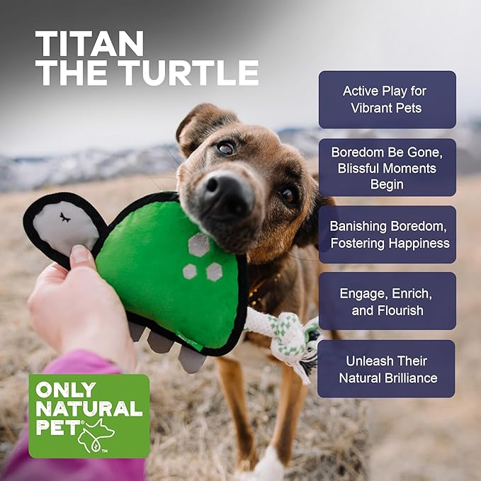 Only Natural Pet Sea Creatures Recycled Plush Dog Toys - Durable Double-Stitched Design with Internal Squeaker, Rope Tug Tail & Plush Head - Squeaky Pet Toy | Titan The Turtle, 11" x 5.5"
