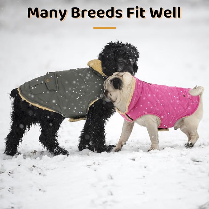 Queenmore Dog Winter Coat - Fleece Jacket, Waterproof Cold Weather Dog Clothes, Thick Warm Cotton Padding, Easy On Storage Pockets (Pink, X-Small)