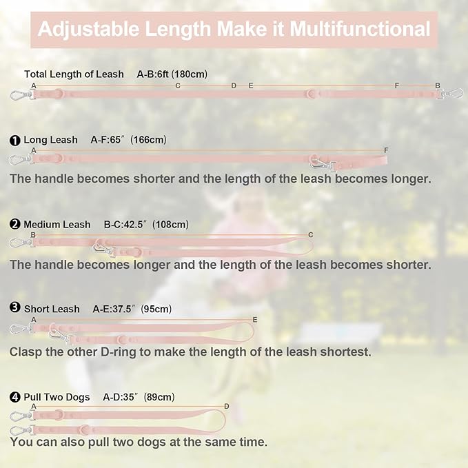 Wisedog Waterproof Dog Leash – 5ft/6ft Adjustable with 2 Hooks & Traffic Handle, Easy to Clean Double Clip Leash for Small, Medium, Large Dogs (Gossamer Pink,L)