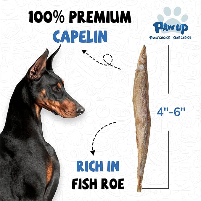 PAWUP Freeze Dried Capelin Dogs Treats – Raw Single Ingredient Dog Fish Snacks, Rich in Omega-3 for Skin & Coat Health, Grain Free, 3.5oz