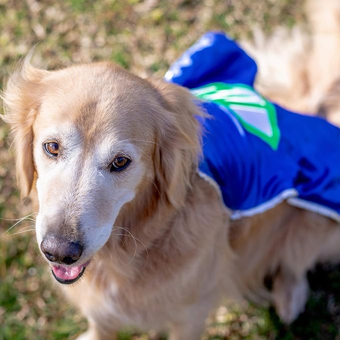 Everfan Personalized Dog Superhero Cape (X Large 25" Long (50-90 lbs), Gold)