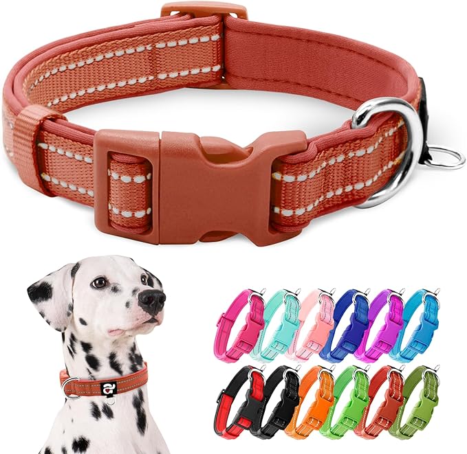 azuza Reflective Dog Collar, Soft Neoprene Padded Pet Collar with ID Tag Ring, Adjustable for Large Dogs,Rust Red,L