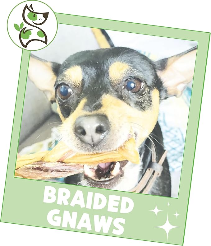 Nature Gnaws Braided Gnaws for Dogs 5-6" (3 Count) - Long Lasting for Small and Medium Dogs - Natural Beef Bully Stick Combo Braids - Rawhide Free