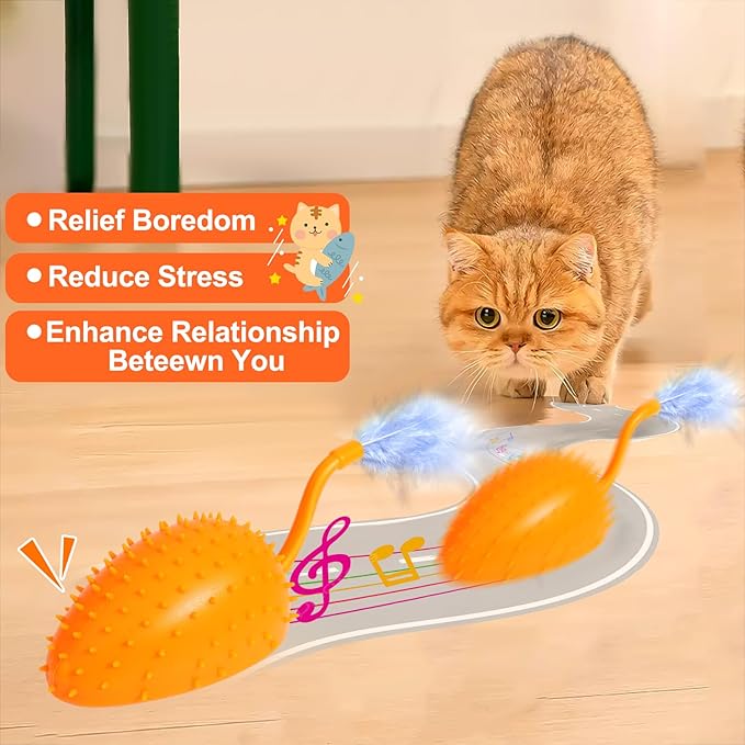 Mity rain Cat Interactive Toys for Indoor Cats, Remote Control Toy with Feather Tails, Cat Automatic Toy for Cats Exercise Catching and Chasing, Moving Electric Pet Toy with USB Charger