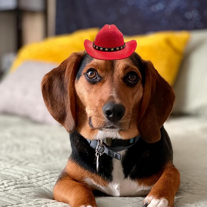 Dog Cowboy Hat Cat Cowboy Hat Pet Cowboy Costume Mini Cowboy Hat for Dogs Cat Holiday Halloween Pet Party Decoration (red, Small)