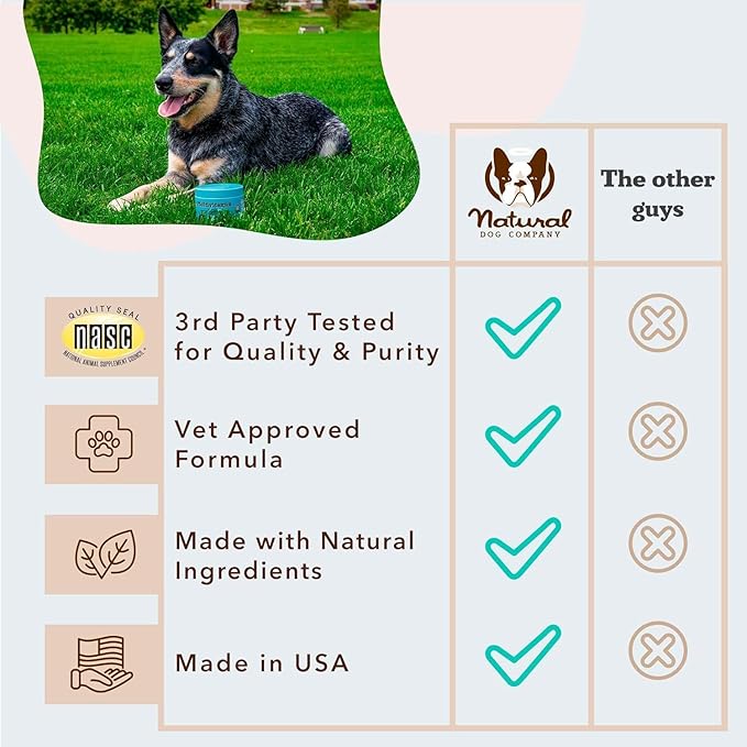 Natural Dog Company 25-in-1 Multivitamin Chews for Dogs – Daily Soft Dog Vitamins with Antioxidants, Zinc & Folic Acid – Supports Joints, Skin & Coat, Immune & Heart Health – All Ages, All Breeds