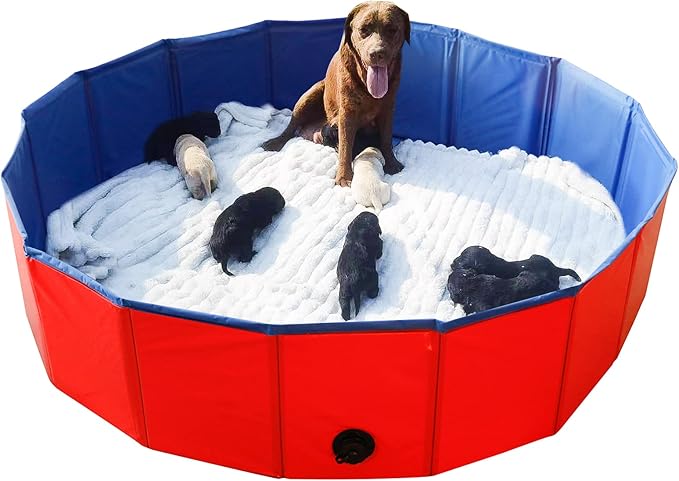 Artilife Whelping Pen for Dogs,Whelping Box for Dogs and Puppies,Dog Birth Supplies,Portable Whelping Pool Whelping Box,Foldable Dog Bath Pool (63inch Dia.x12inch H(160x30cm))