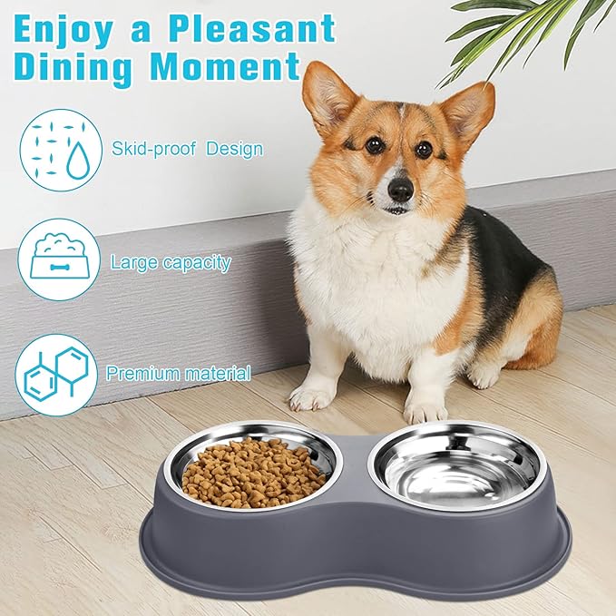 Dog Bowl Double Dog Water and Food Bowl Stainless Steel Bowls with Non-Slip Resin Station, Pet Feeder Bowls for Puppy Medium Dogs Cats
