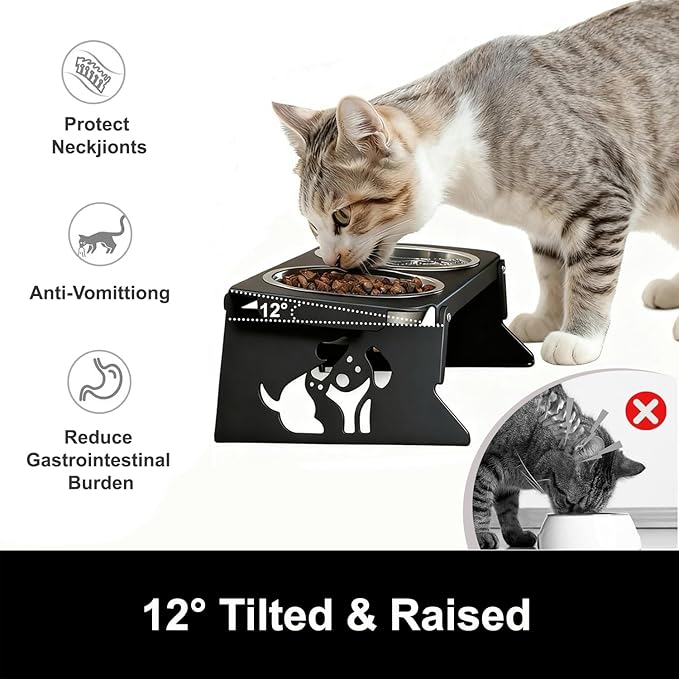 2 Set Elevated Cat Bowls, 4 Stainless Steel Bowls with Cute Raised Metal Stand for Food&Water, Zero Assembly, 12°Tilted Anti-Vomiting Cat Dishes for Indoor Cats/Multiple Kitten/Puppy