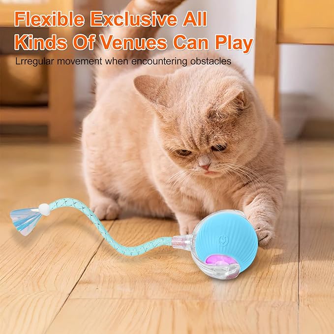 Interactive Cat Toys for Indoor Cats, Automatic Kitten Toys for Bored Indoor Adult Cats, Smart Kitten Rolling Ball Moving Balls Toy, Rechargeable Dog Cat Ball for Enrichment Exercise (Blue)