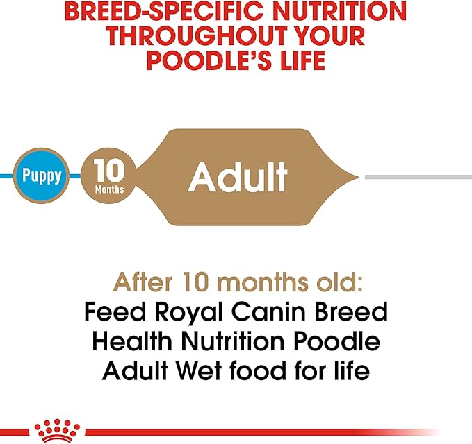 Royal Canin Breed Health Nutrition Poodle Adult Loaf in Sauce Dog Food, 3 oz (Pack of 24)