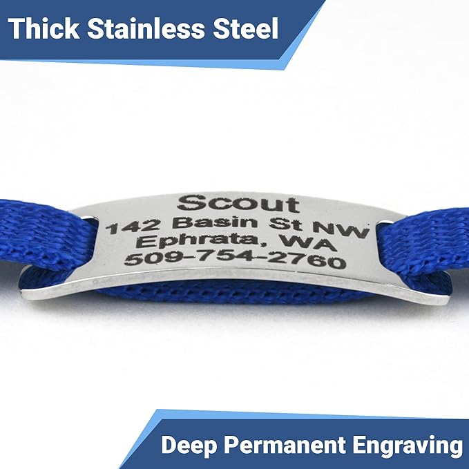 GoTags Personalized Reflective Cat Collars with Tag, Engraved Custom with Name and Phone, Breakaway Collar with Safety Buckle and Bell, Adjustable for Cats and Kitten, (Blue with Nameplate)