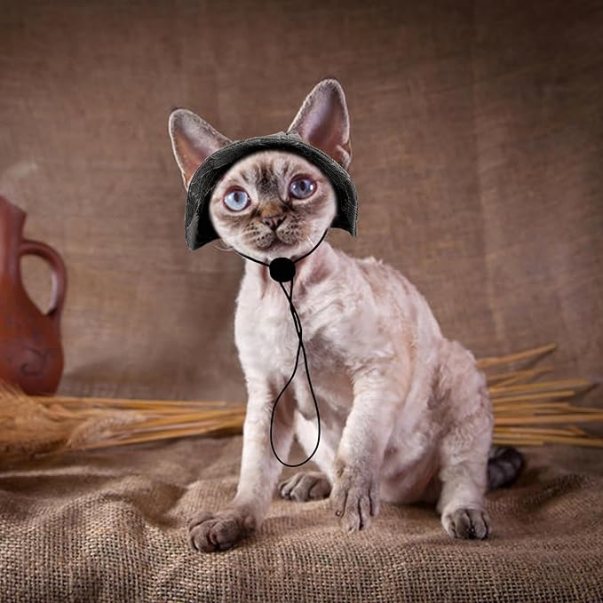 QBLEEV Cat Hats for Cats Only, Sphynx Hat with Ear Hole, Hairless Cat Cowboy Hats for Birthday Party Halloween, Kitten Headwear Sun Sombrero Caps, Chihuahua Sunscreen Baseball Outdoor Climbing Cap