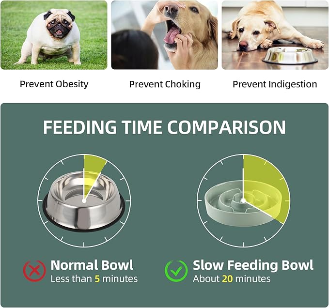 Ceramic 3.2 Cup Slow Feeder Dog Bowl for Large Dog, 9.5inch Puzzle Food Dish, Anti-Gulping, Stop Bloat, Preventing Choking (Single Bowl-Light Green)