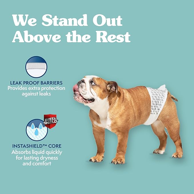 Simple Solution Disposable Dog Diapers Wraps for Male Dogs, True Fit, Absorbent, Leak Proof with Wetness Indicator, Puppy and Doggie Diaper for Peeing, For Small Pets, 12 – 19 Inch Waist, 12 Count