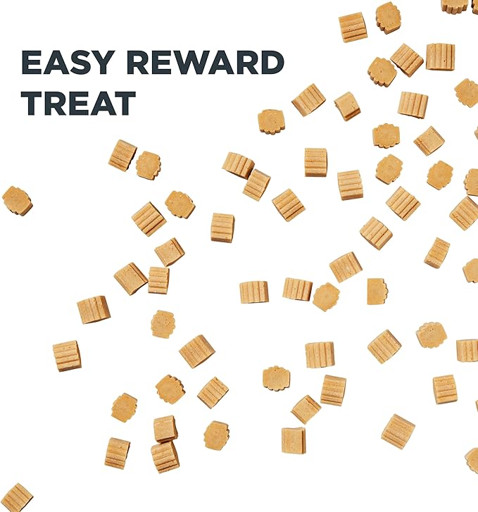 Healthy Dog Reward Treats - Hive Bites - 12 oz. Ñ All Natural Small Dog Bites for Training, Natural Peanut Butter Flavored, Vegetarian Chews, Made in The USA