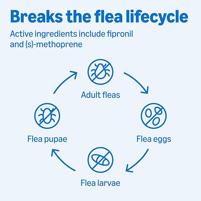 Amazon Basics Flea and Tick Topical Treatment for Medium Dogs (23-44 Pounds), 6 Count, Packaging May Vary