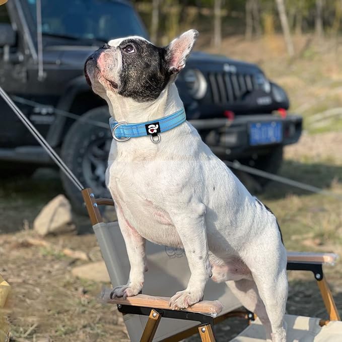 azuza Reflective Dog Collar, Soft Neoprene Padded Pet Collar with ID Tag Ring, Adjustable for Medium Dogs,Blue,M