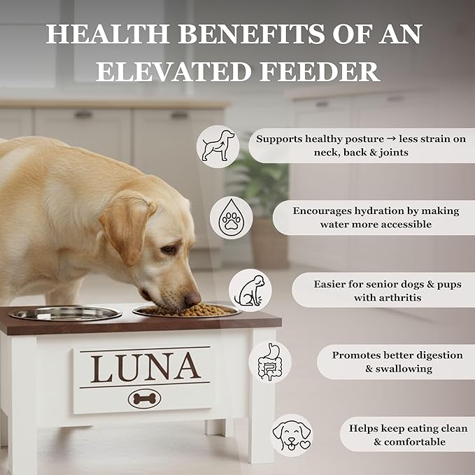 GrooveThis Woodshop - Personalized Elevated Dog Bowl Stand for Large, Medium, Small, X-Small Dogs - Stainless Steel Food and Water Bowls - Raised Dog Dish with Internal Storage (Medium, Blue)